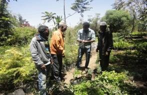 Promotion of Safer Migration